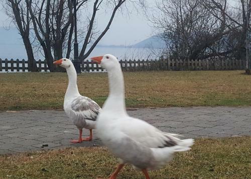 Apartamento Your Home In Kastoria