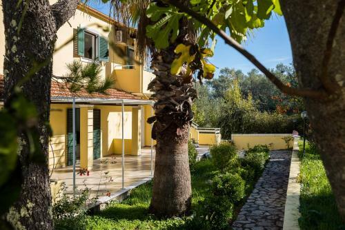 Apollon Apartments