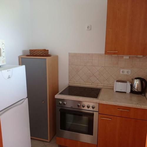 Aranypart Club218 Beatrix Wellness Apartman