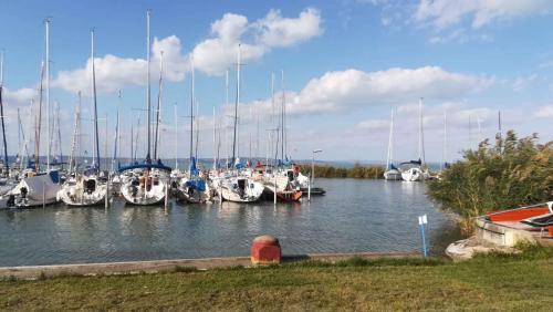 Holiday Home In Siofok/balaton 19732