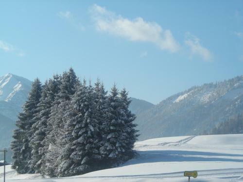 Hostal Gasthof Botenwirt