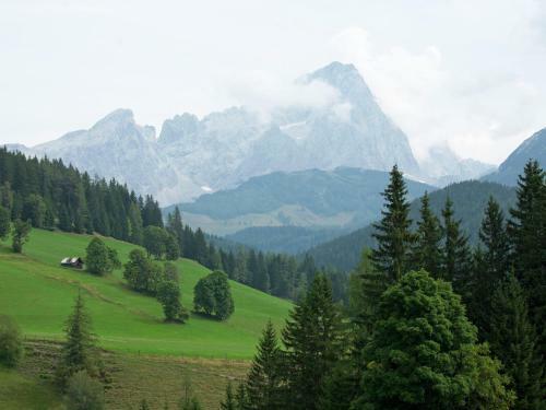 Apartment Schoberhof Filzmoos