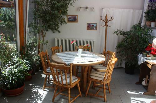 Hostal Cafe & Pension Carmen