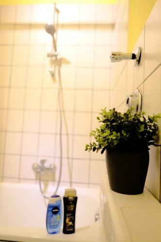 Apartamento Fewo Mg-rheydt Central