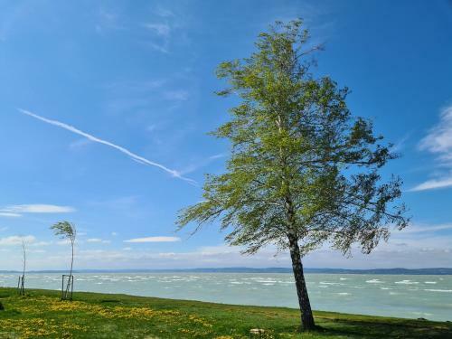 Eda Beach Galerius Apartman