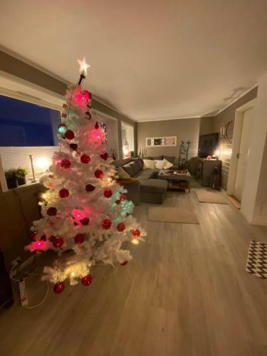 Apartamento Lyngen, Mackay Appartment, Lyngen