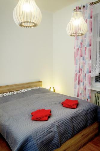 Apartamento �tuln� Druh� Domov V Srdci ?iliny