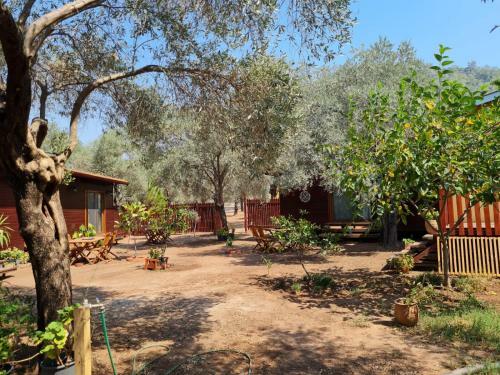 Bed & Breakfast Ekincik Art Camp