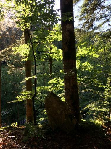 Bed & Breakfast G�stehaus Adler Albtal