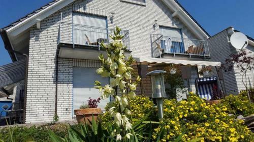 Apartamento Appartements Villa Drachenberg