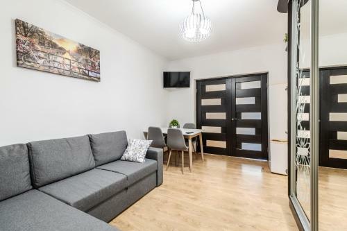 Homey Apartment