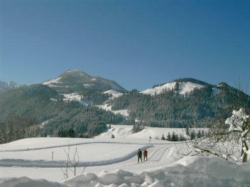 Hostal Gasthof Mairwirt