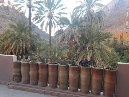 Riad Zitun