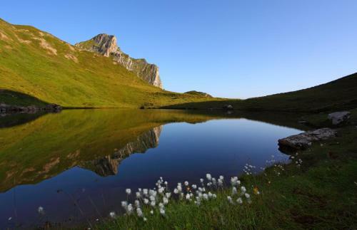 Hostal Fr�hst�ckspension Sunnh�usl