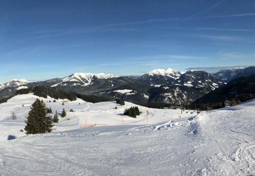 Hostal Hotel-gasthof Sonnenbichl