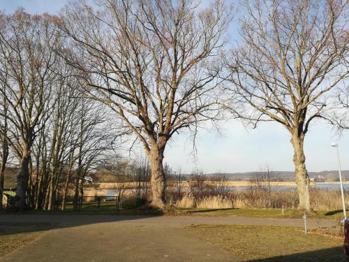 Sellin - Seedorf Am Neuensiener See Apartment 08