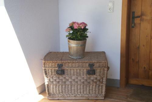 Apartamento Ferienwohnung Bluntaum�hle