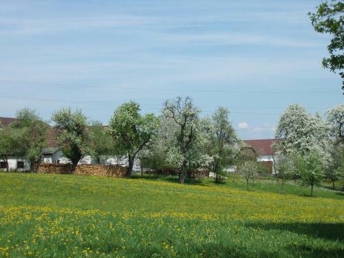 Posada Gasthof Zur Linde