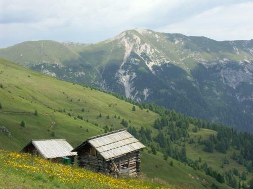 Hostal Hotel Garni Haus Anita