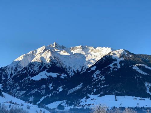 Apartment Chalet Pihapperblick 3