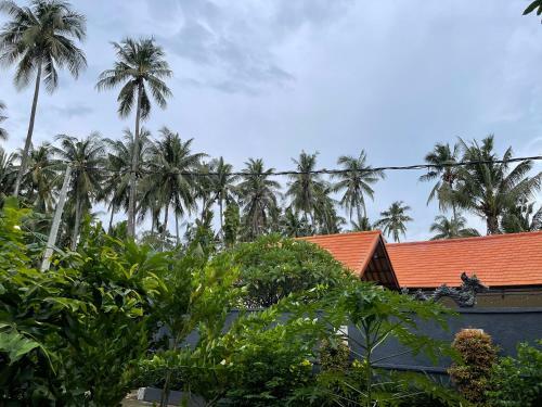 Hotel Mias Jungle House