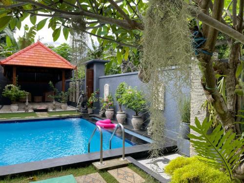 Hotel Mias Jungle House