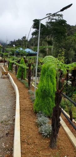 D'la Sri Cottage Homestay