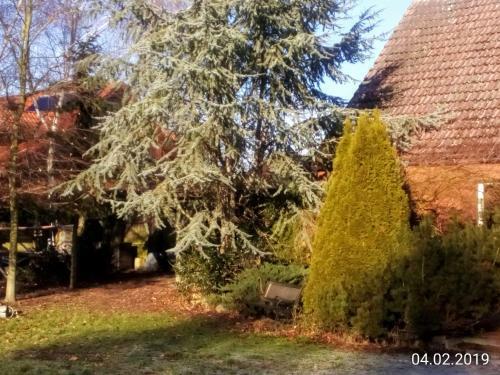 Hotel Leppiner Hof - B&B Fr�hst�ckspension