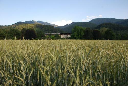 Hostal Br�cklwirt