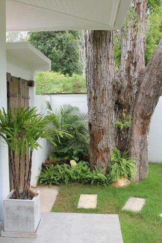 Villa Iyara Piscine Priv�e Et Jardin Tropical