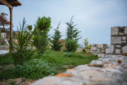 Villa Rose