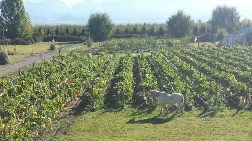 Agroturismo Finca Ogawa