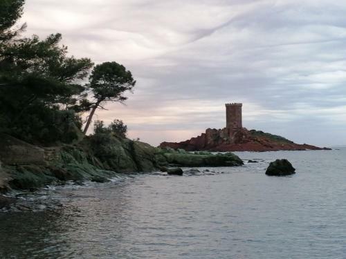 Voilier de Charme � Quai