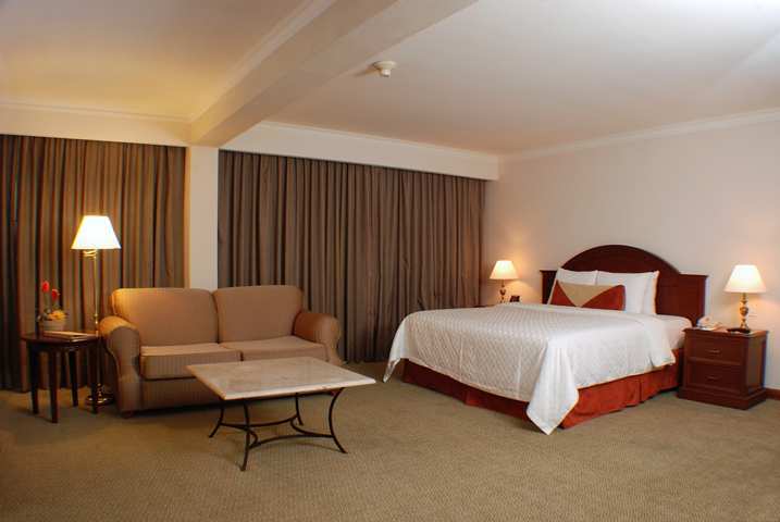 Hotel Hilton Garden Inn Monterrey