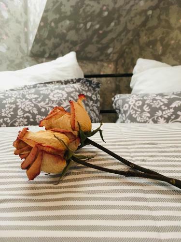 Apartm�n U Z�meck� Dyje