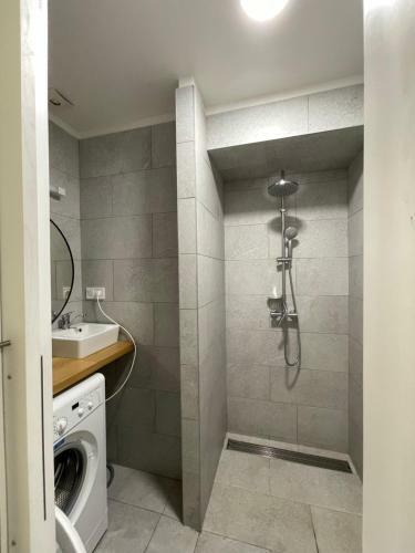 Vintage Apartment Ostrava Center City