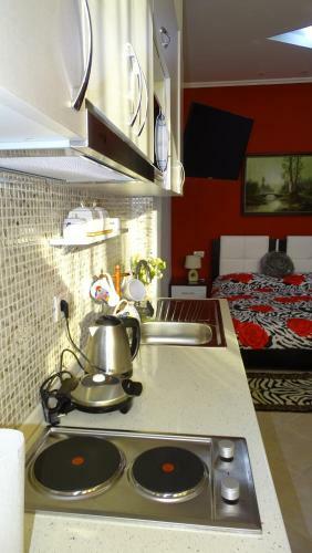 Apartment Shoshi