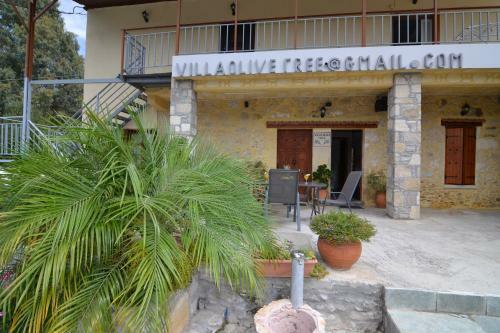 Paradise Villa In Olive Trees With Private Pool