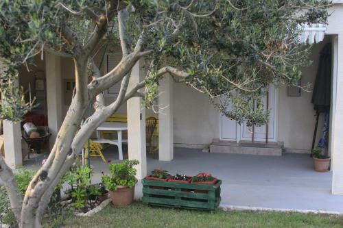 Apartments Biba & Lucy