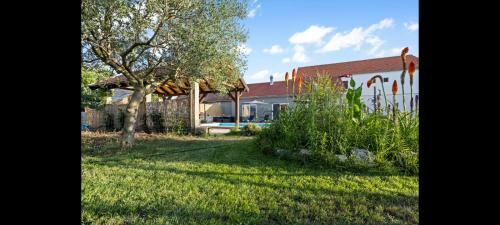 Villa Olive Tree House