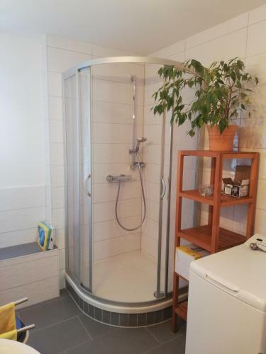 Apartamento Fewo Am Wilden Mann
