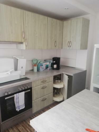Apartamento Fewo Am Wilden Mann