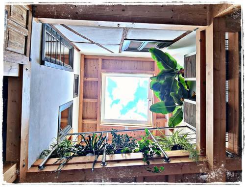 Hostal G�stehaus Am Stadttor