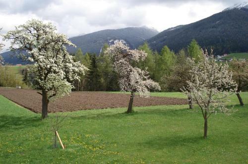 Apartamento Ferienwohnungen Simon - Hauserhof