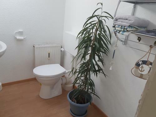 Apartamento Treene H�uschen/ferienwohnung