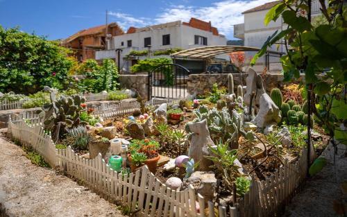 Apartments With A Parking Space Stari Grad, Hvar - 18458