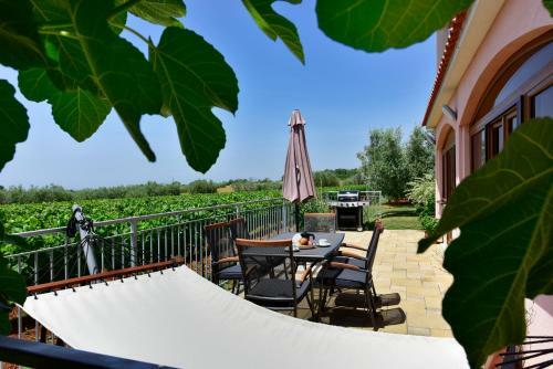 Apartment Niki, Surrounded By A Vineyard With A Whirlpool