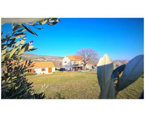 Holiday House Bleki