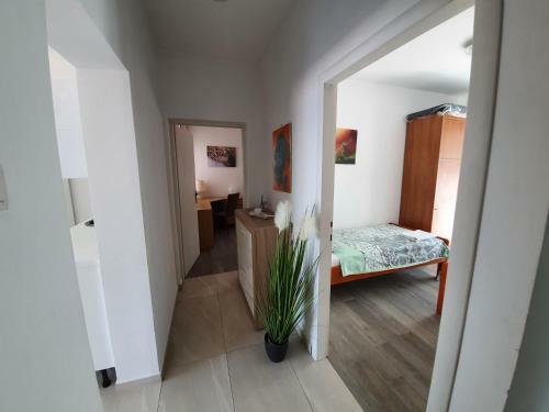 Apartments Dora