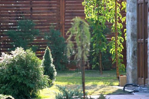 Apartamento Czir�ka Vend�gh�z